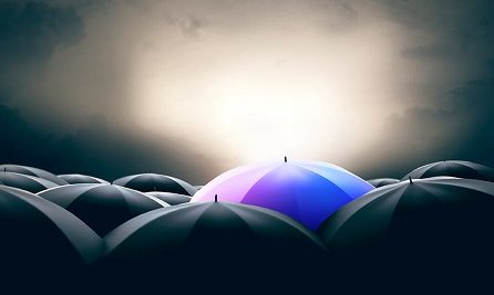 accelerant insurtech growth